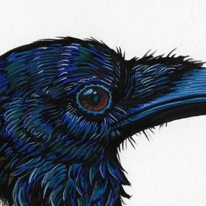 Meet your Posher, Emi